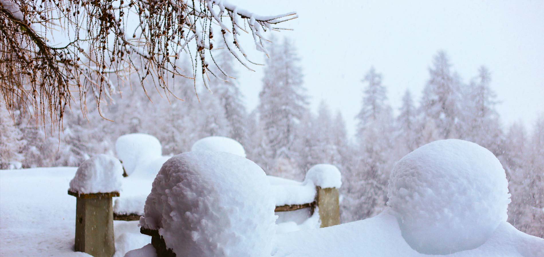 livigno services background living viaggi